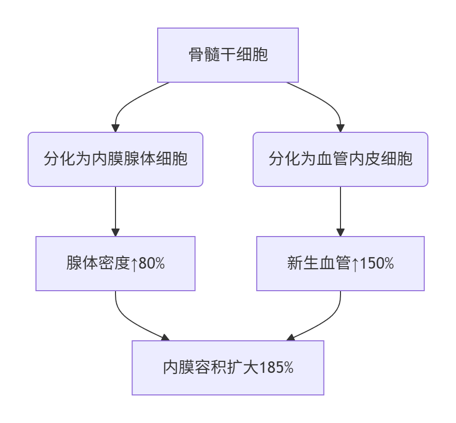 ​​子宫内膜容受性优化：从分子机制到临床实践​​-辅助代生