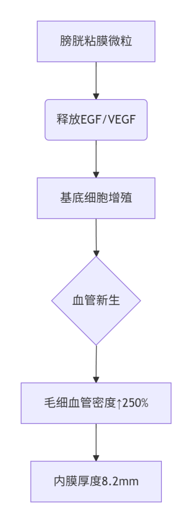 ​​严重薄型内膜患者88.3万双胎活产案例​​-辅助代生