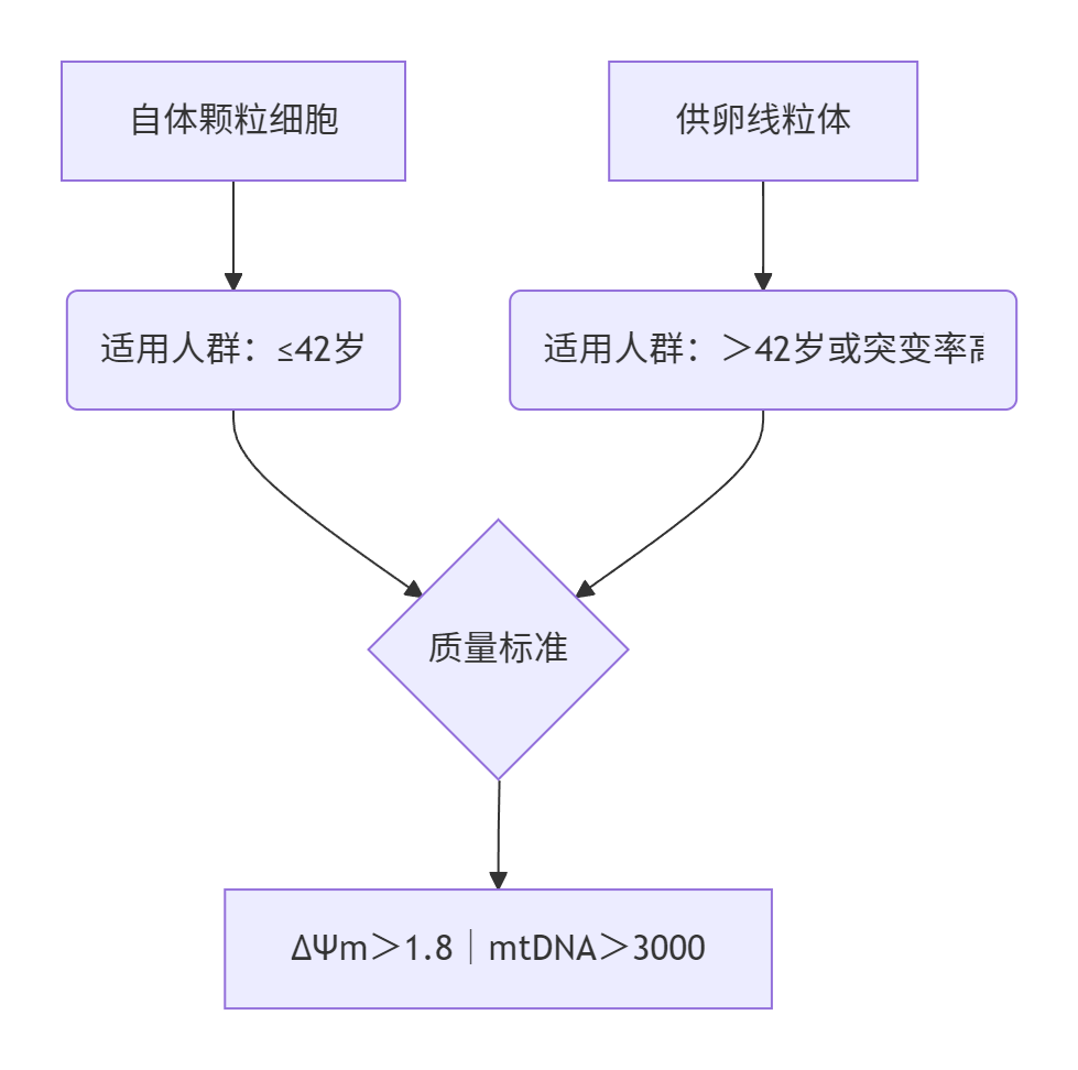 2025​​胚胎线粒体移植技术：攻克卵子能量衰竭的临床路径​​-辅助代生