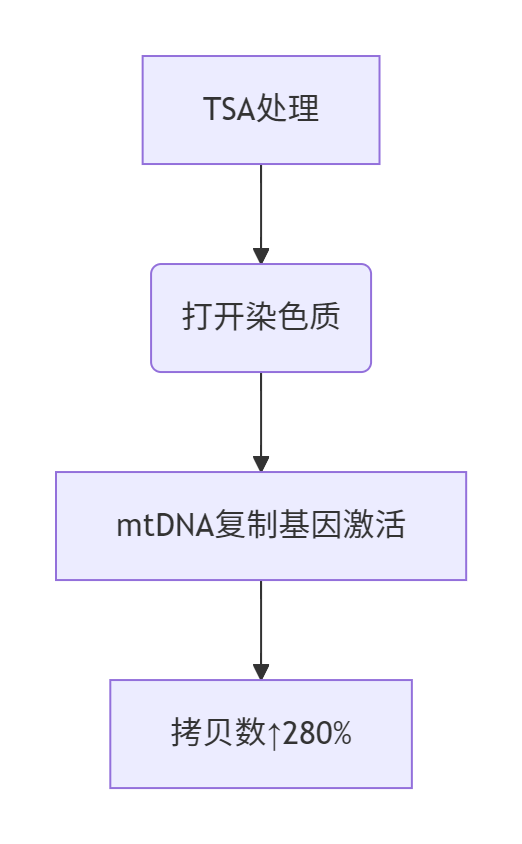2025​​胚胎线粒体移植技术：攻克卵子能量衰竭的临床路径​​-辅助代生